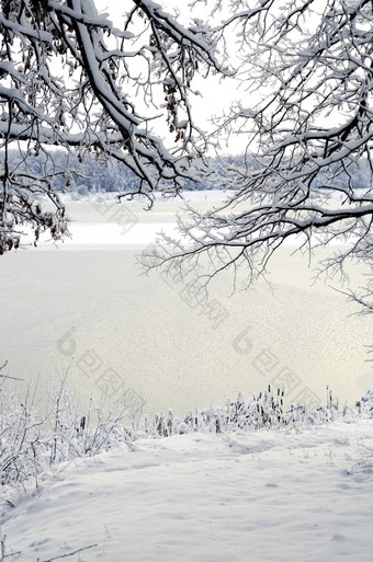 冬天景观视图框架雪分支