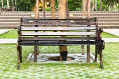 板凳上城市公园