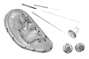 针灸针耳朵模型