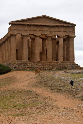 废墟寺庙肯考迪娅agrigento