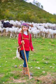 孩子女孩牧羊女快乐群羊坚持