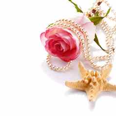 粉红色的玫瑰珍珠珠子海星