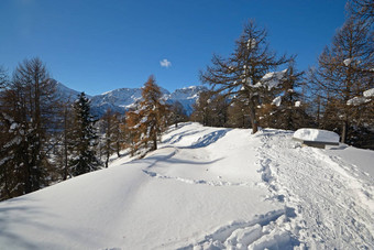 回来国家滑雪风景优美的景观