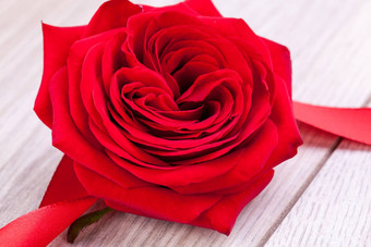 花束红色的玫瑰<strong>丝带</strong>边境