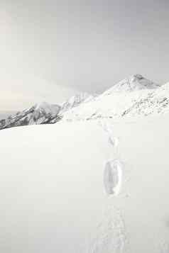 野生动物痕迹雪坡