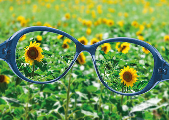 视图阅读眼镜美丽的自然视图