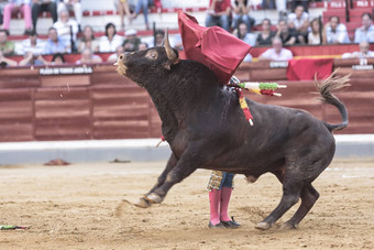 西班牙语斗牛士斗牛给壮观的胸部通过拐杖斗牛场哈恩被称为外壳阿拉米达哈恩省安达卢西亚西班牙8月