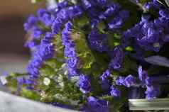 紫色的婚礼花束