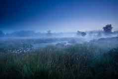 有雾的早....黄昏沼泽