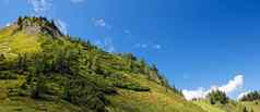 郁郁葱葱的绿色山明亮的夏天一天阿尔卑斯山脉