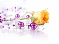 黄色的玫瑰紫罗兰色的珠子
