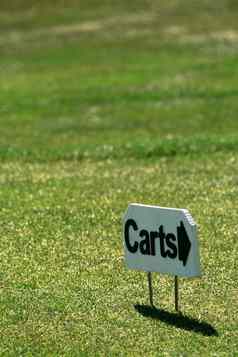 高尔夫球车标志
