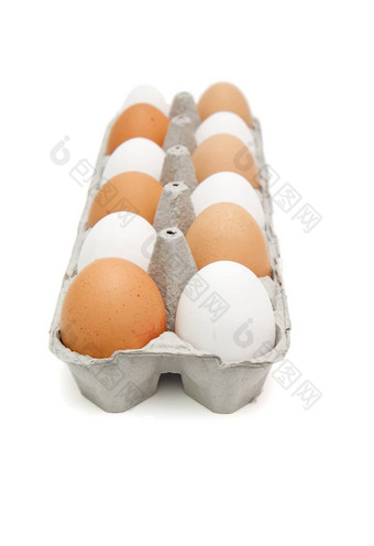 白色棕色（的）鸡蛋纸盒子棋盘订单孤立的