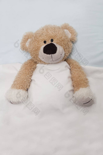 泰迪熊铺设床上