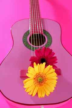 嬉皮花黄色的粉红色的非洲菊吉他