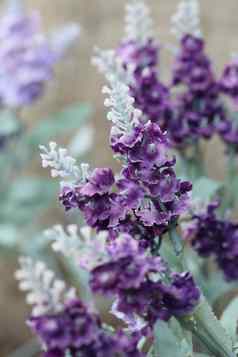 美丽的紫色的薰衣草人工花
