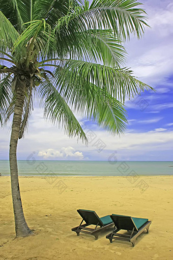 桑迪海滩<strong>太阳椅</strong>子棕榈树