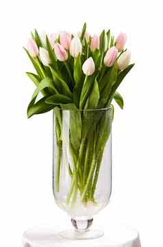 粉红色的白色郁金香花束花瓶白色