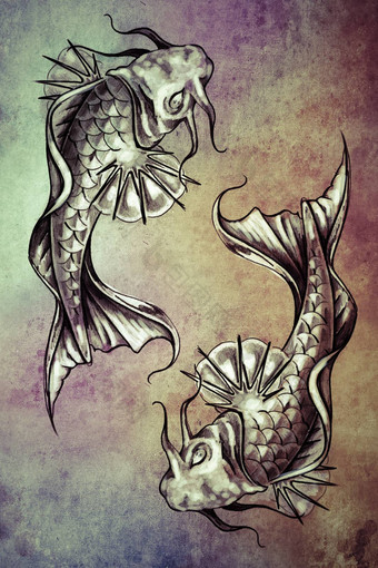 草图纹身艺术日本金鱼色彩斑斓的纸
