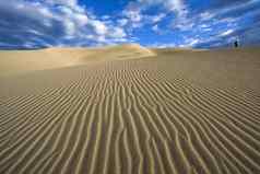走沙丘伟大的沙子沙丘国家公园