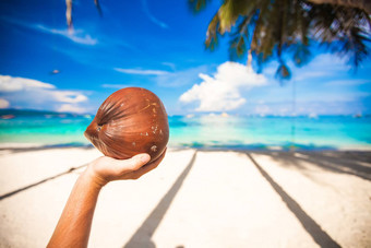 大椰子手背景绿松石海白色海滩