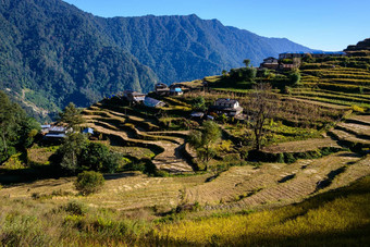 尼泊尔村安纳普尔纳峰地区