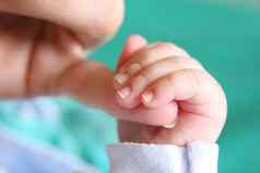 出生婴儿的手引人入胜的母亲手指