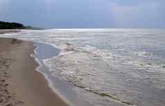 波罗的海景观森林海滩海风暴云