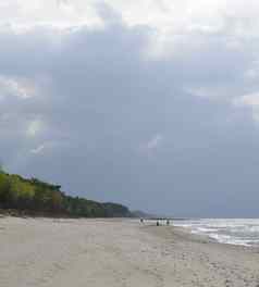 波罗的海景观森林海滩海风暴云