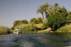 尼罗河河阿斯旺埃及