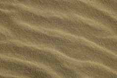 波浪海海岸沙子纹理阳光