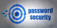 保护概念目标密码安全墙背景