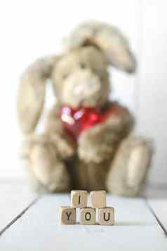 泰迪熊兔子情人节周年纪念日爱主题