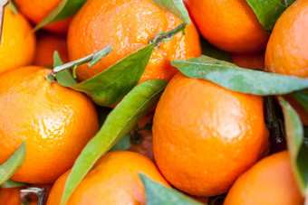 背景新鲜的橘子柑橘