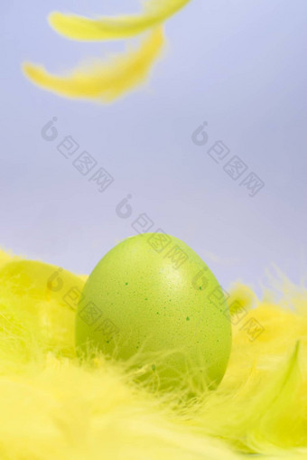 绿色复活节蛋色彩鲜艳的鸡蛋黄色的羽毛