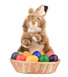 毛茸茸的狡猾的兔子篮子复活节鸡蛋