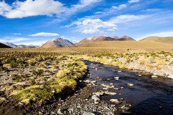 沙漠Altiplano安第斯山脉玻利维亚