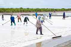 盐收集盐农场泰国