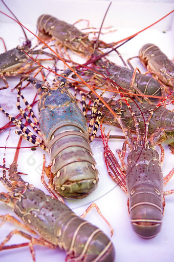 泰国龙虾海鲜市场泰国