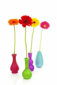 美国格柏公司花色彩斑斓的花瓶
