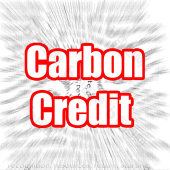 碳信贷