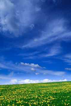 春天景观绿色字段蓝色的天空