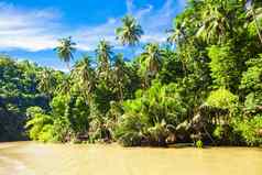 洛博克河丛林岛保和菲律宾