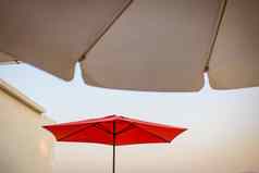 夏天桔梗红色的伞