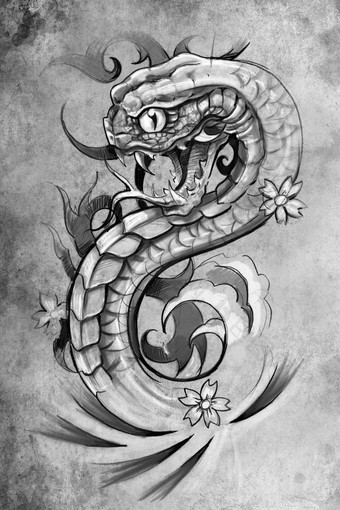 纹身蛇插图手工制作的画古董纸