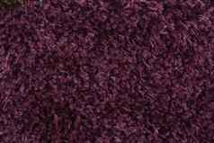 紫色的地毯