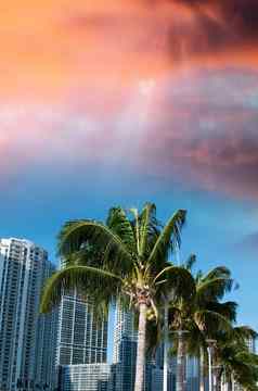 美丽的城市景观迈阿密海