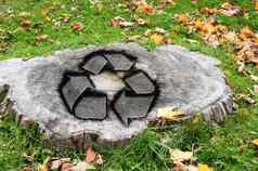 回收概念减少树树干
