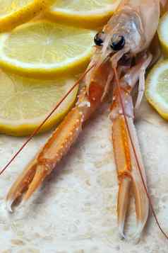 海螯虾挪威龙虾