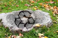 回收概念减少树树干